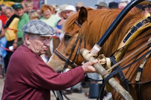 Topin viimeiseksi vetokisaksi jäi Koillis-Savon vetokisat Juankoskella heinäkuussa 2008. Kilpakaverina oli Maiju Okkosen ruuna Kaurahattu (1631-96), joka sekin on jo vihreämmillä laitumilla. Kuvat Tero Ulvinen