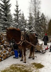 Tepsukka odottaa laanilla kuorman purkamista. Kuva: Riina Törnqvist