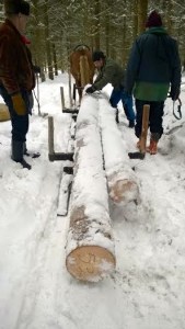 Kuormaa tehdään Ellin vetämään rekeen. Kuva: Riina Törnqvist