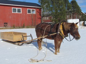 Virmaliina 1248-06Ta