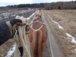 Jonnan Donna 1015-07Ta