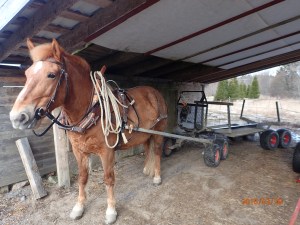 Jonnan Donna 1015-07Ta