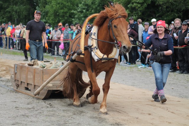 Paras ensikertalainen Patin Kusti ja Taimi Heiskanen
