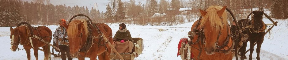 Ohkola 2018 Kuvaaja: Tea Lehtonen