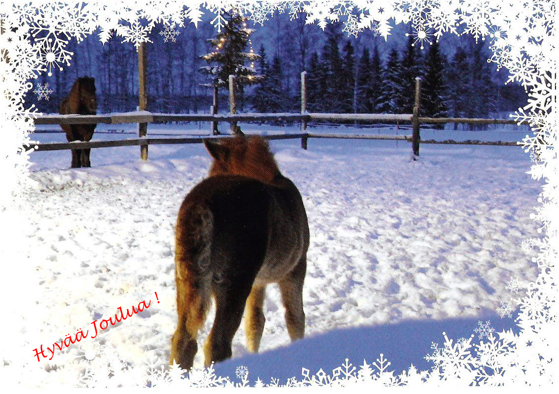 Hyvää Joulua !