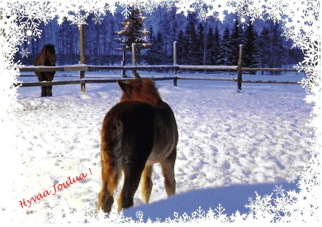 Hyvää Joulua !